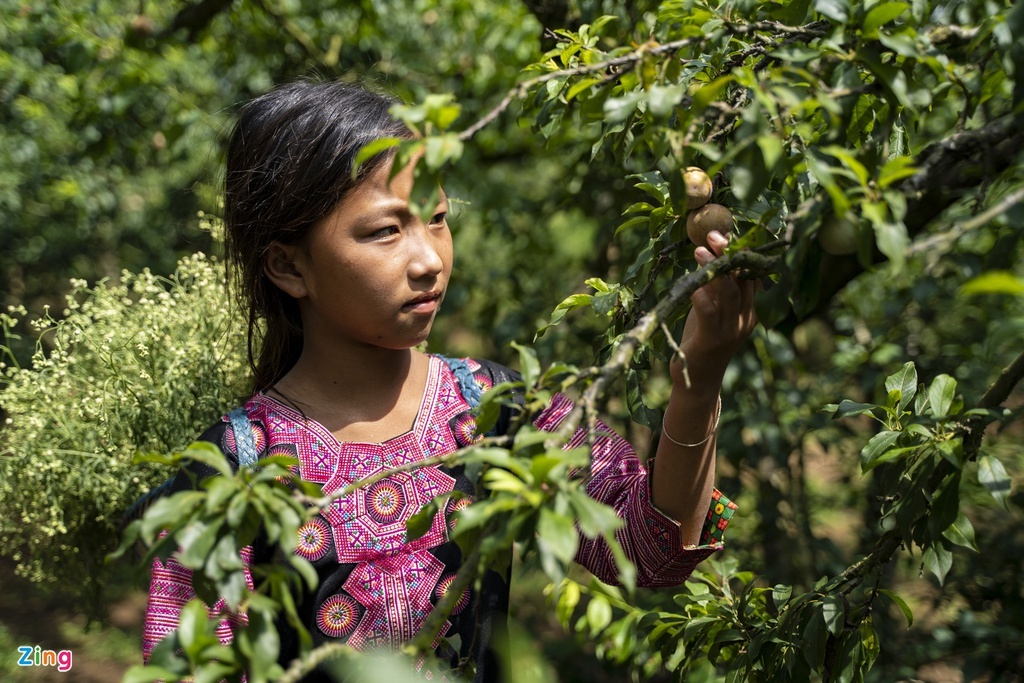 Vuon man ba trong anh 1