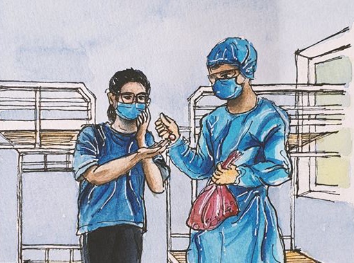 Con yen tam duoc tro ve Viet Nam hinh anh