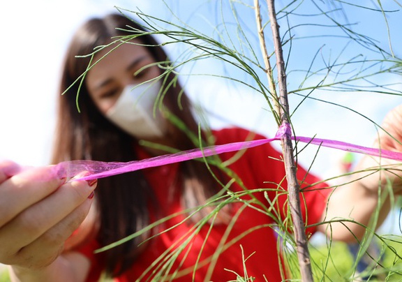 'Song xanh khong kho' - bao ve moi truong tu hanh dong nho nhat hinh anh