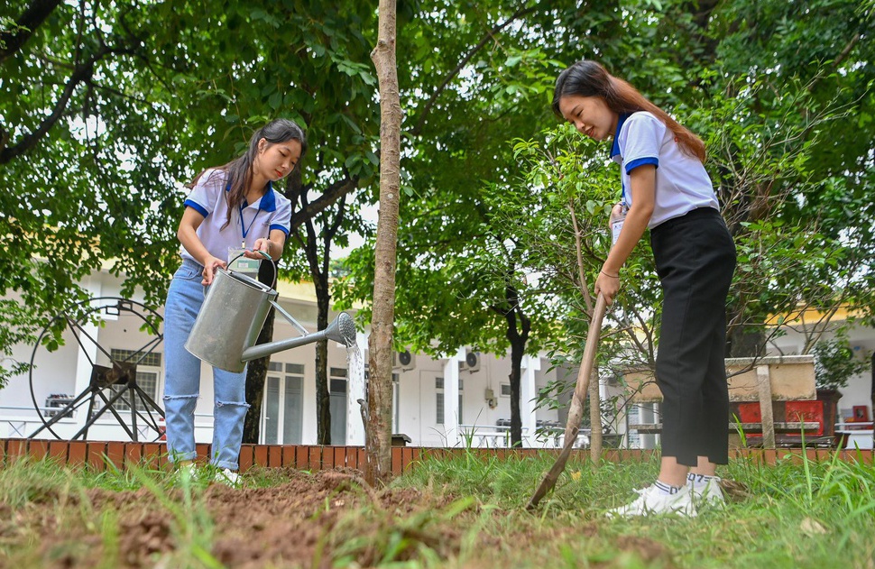 Dung chi song xanh bang hinh thuc hinh anh