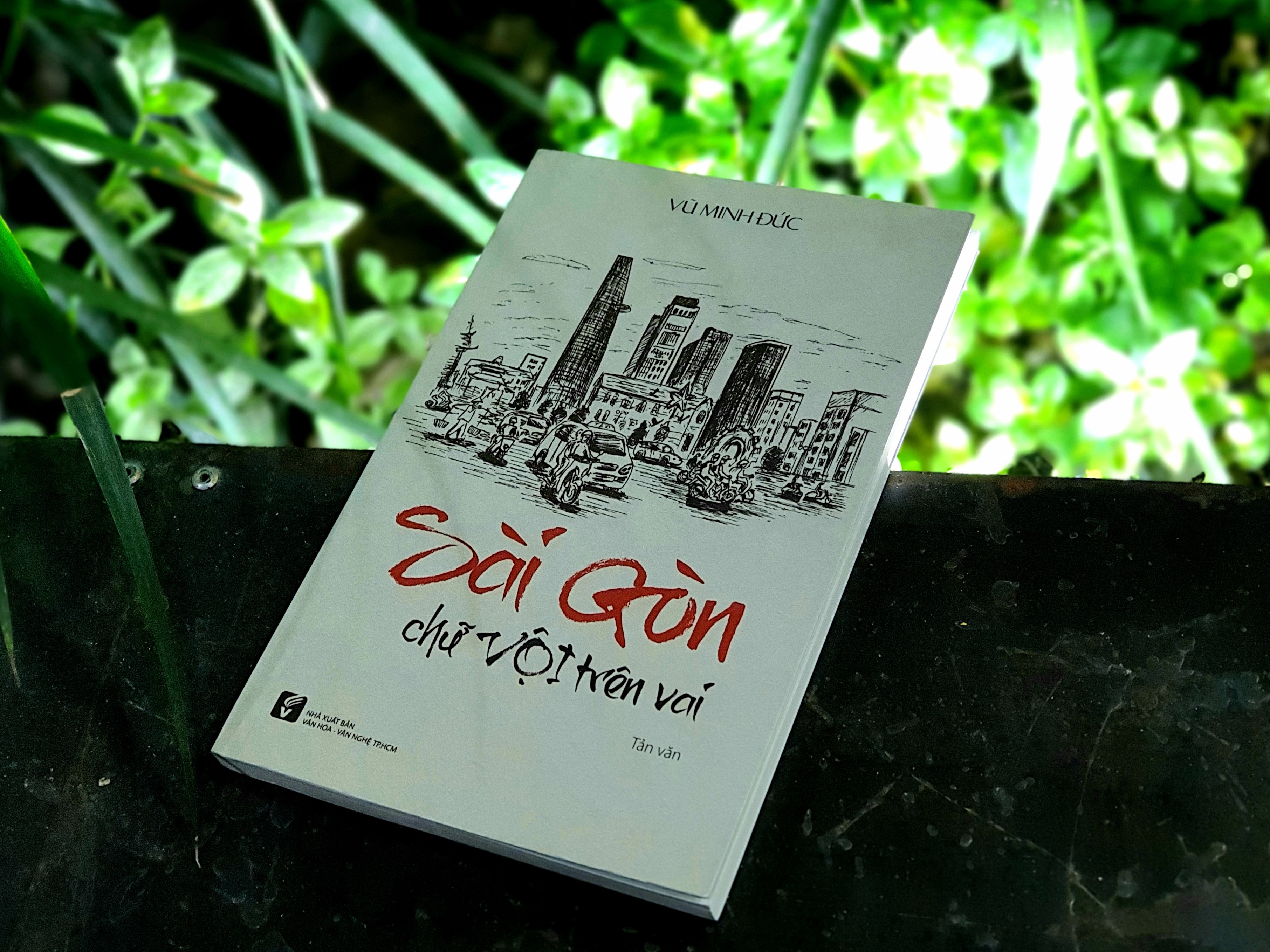 Sai Gon thuong ca nguoi dung hinh anh