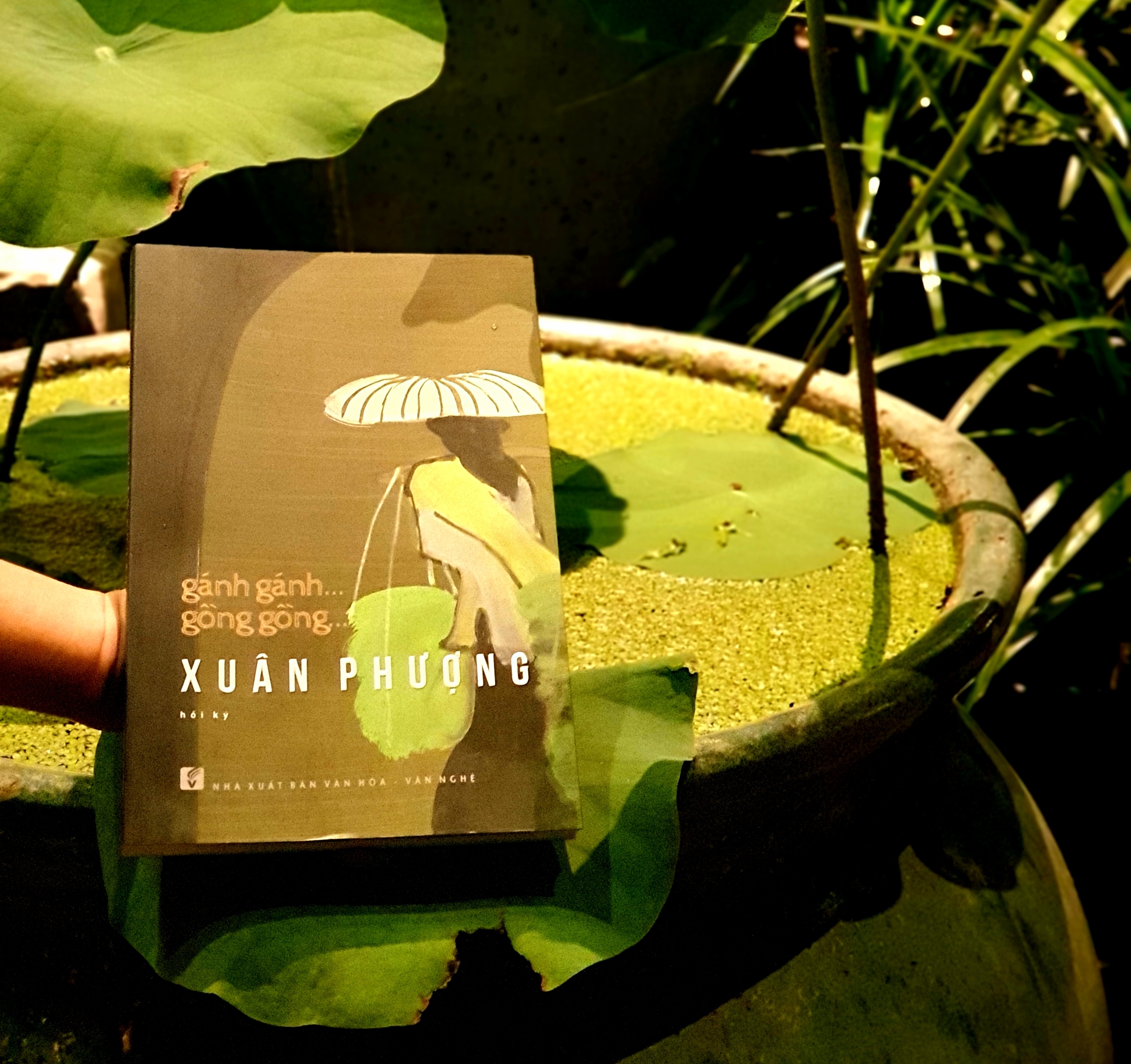 Rung dong dau doi hinh anh