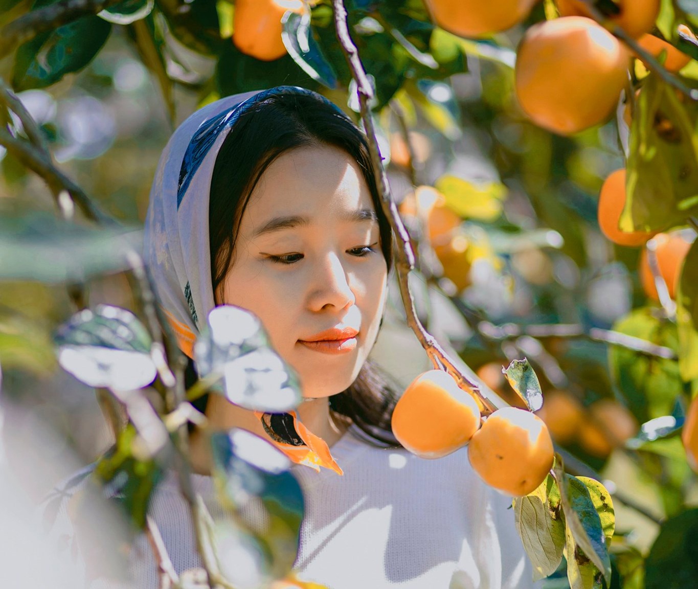 Yeu bao lau thi cuoi? hinh anh