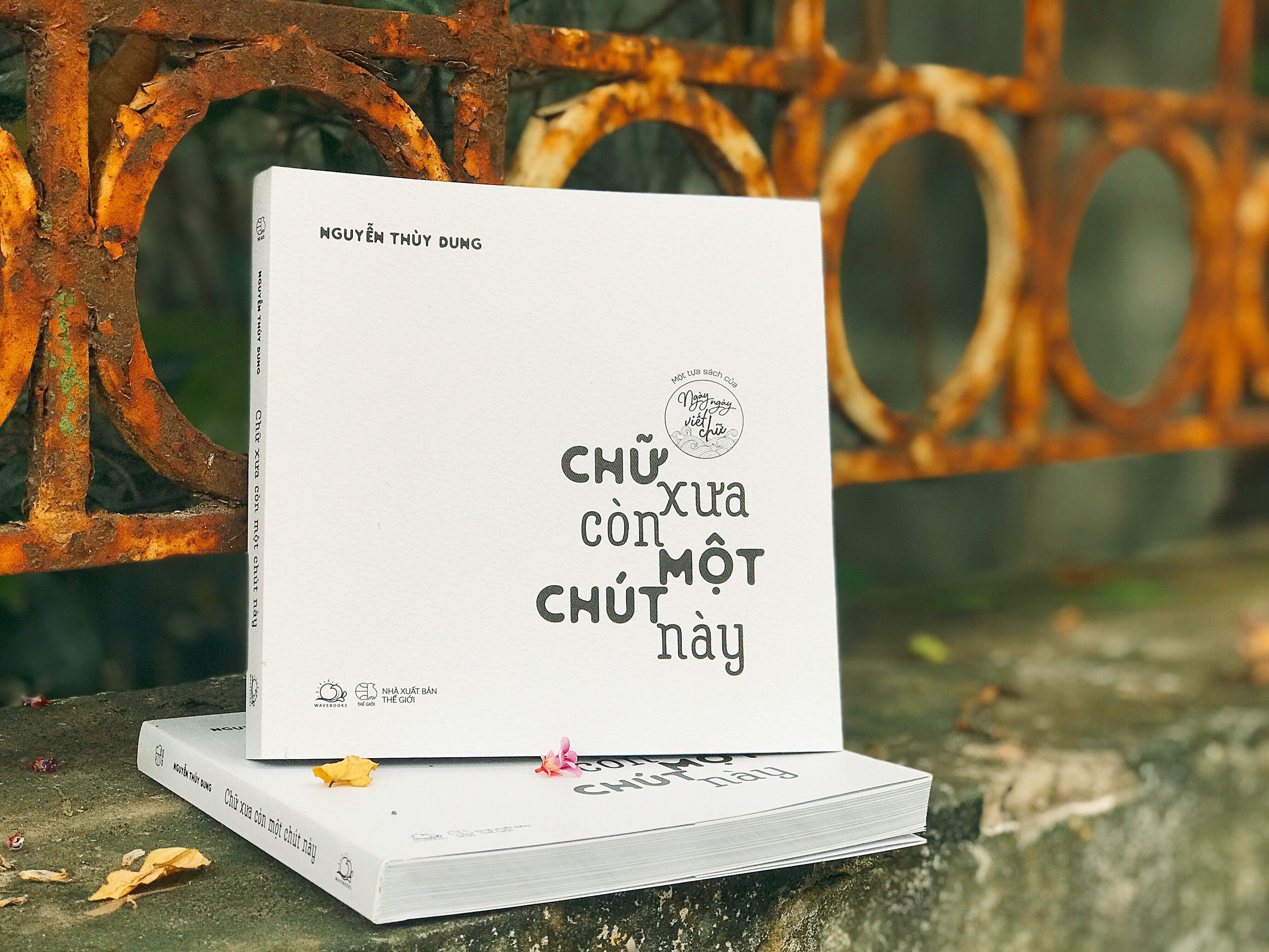 Dem nghia xua cua tieng Viet toi ban tre hinh anh