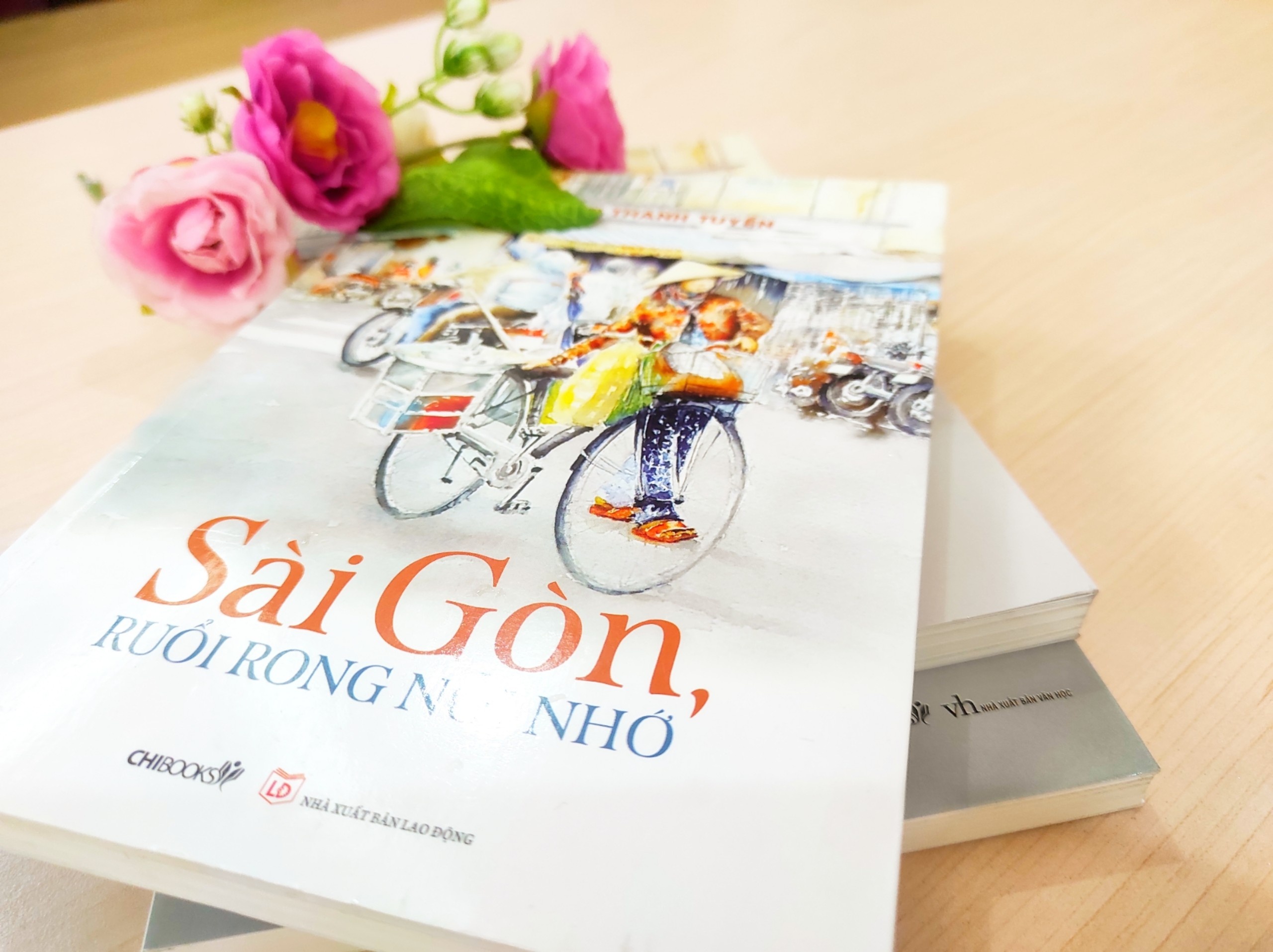 Sach Sai Gon,  ruoi rong noi nho anh 1