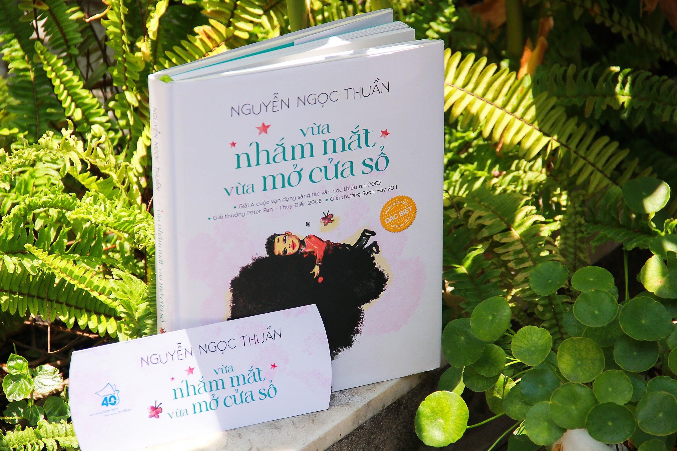 Nguyen Nhat Anh anh 7