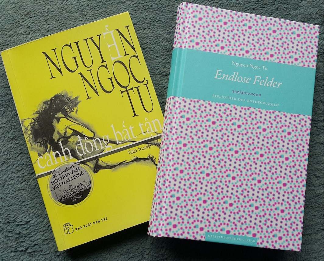 Nguyen Nhat Anh anh 8