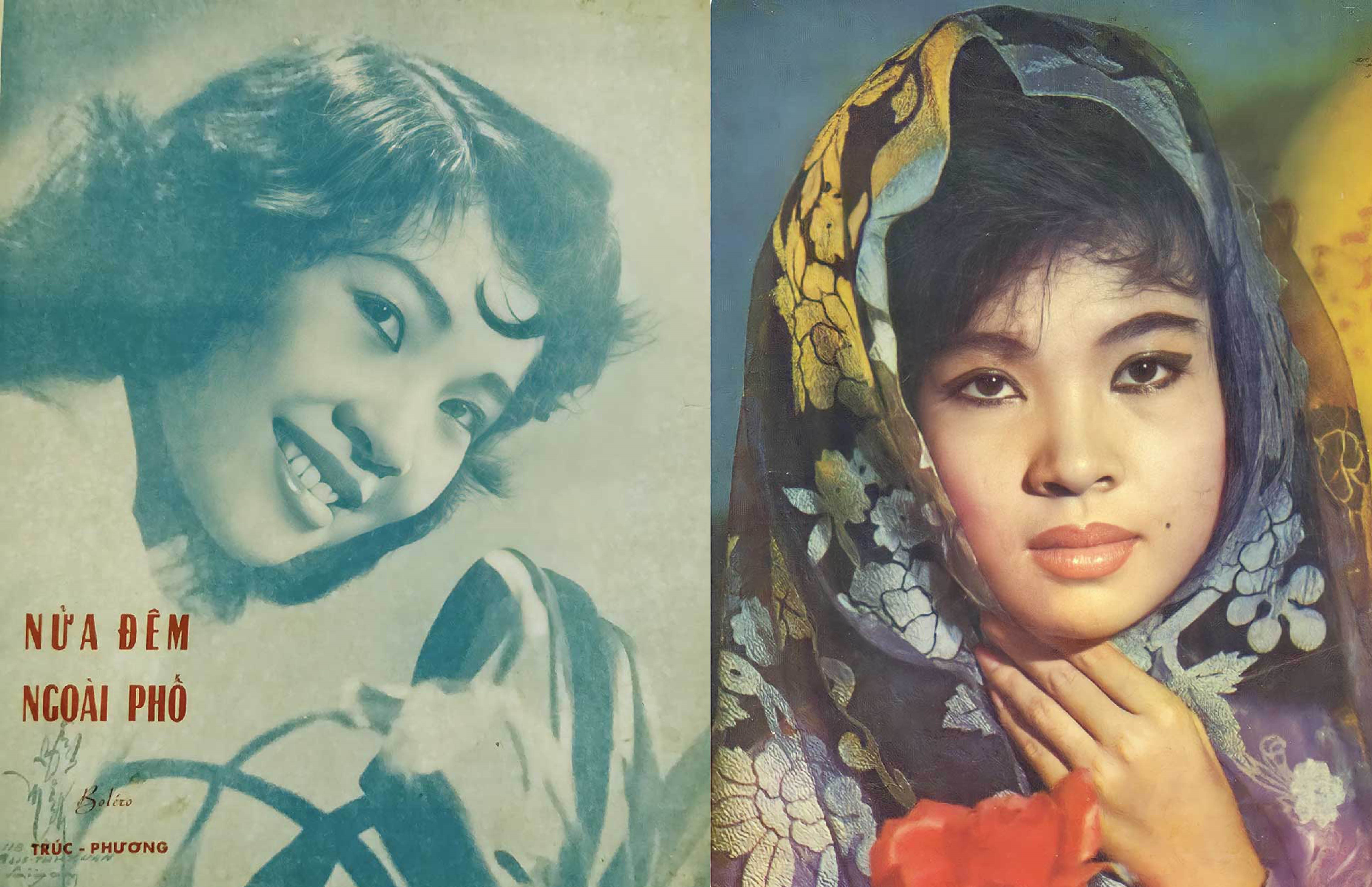 Nhung bong hong la nguyen mau trong tho nhac hinh anh