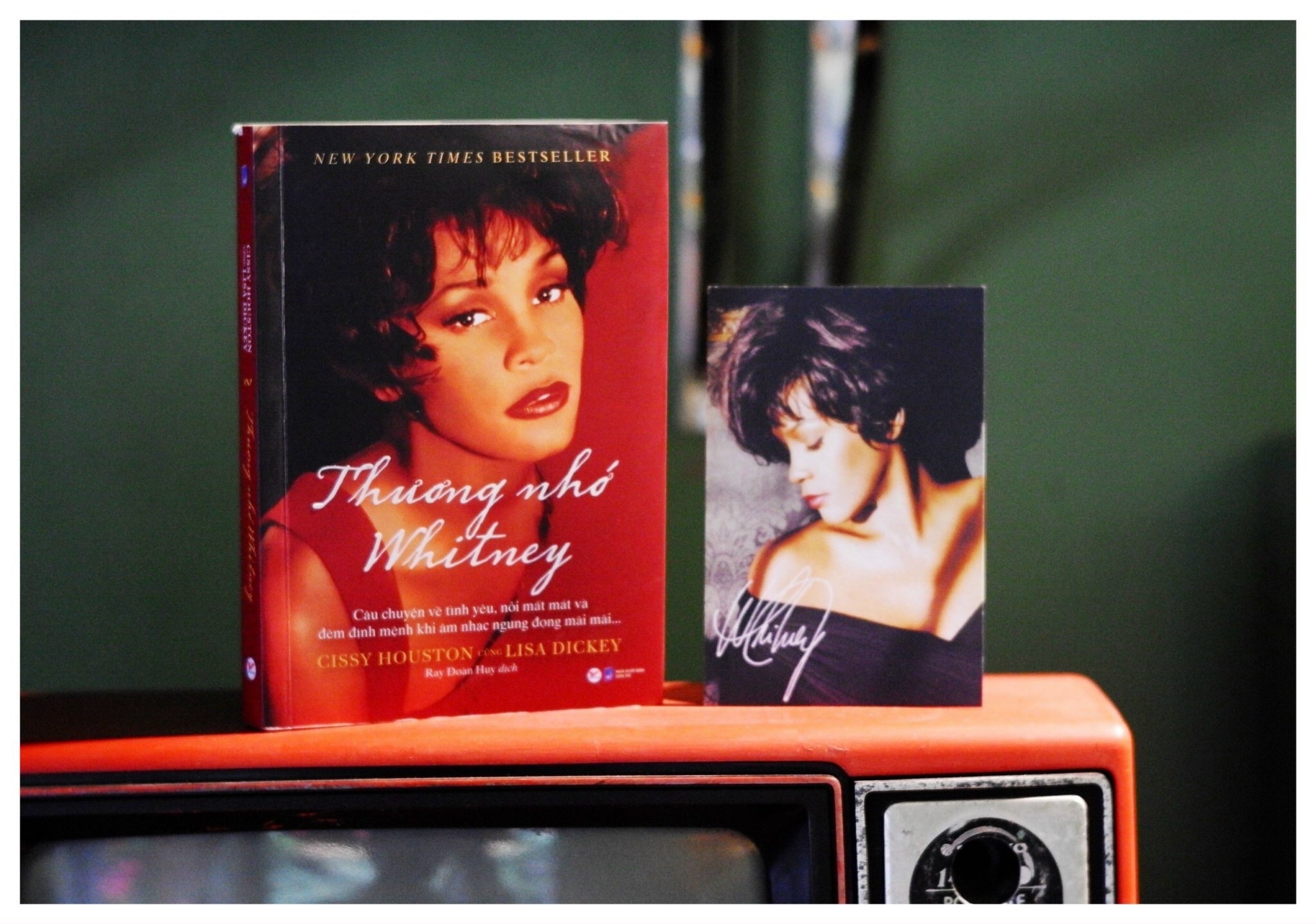 Whitney Houston anh 1