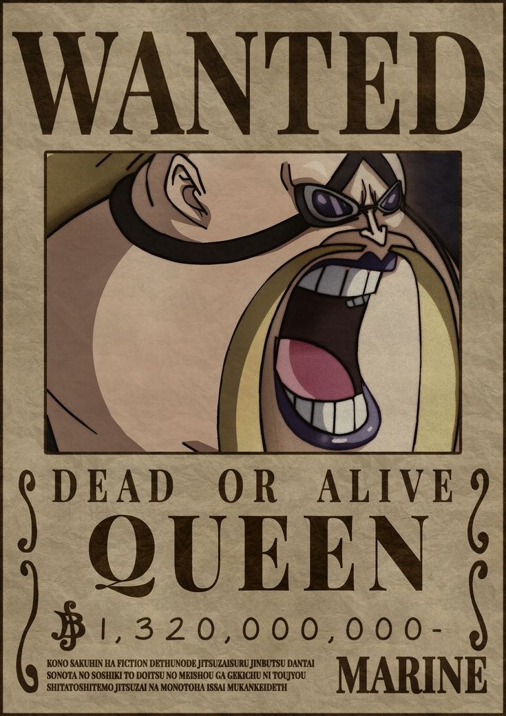 Hai tac bi truy na trong One Piece anh 2