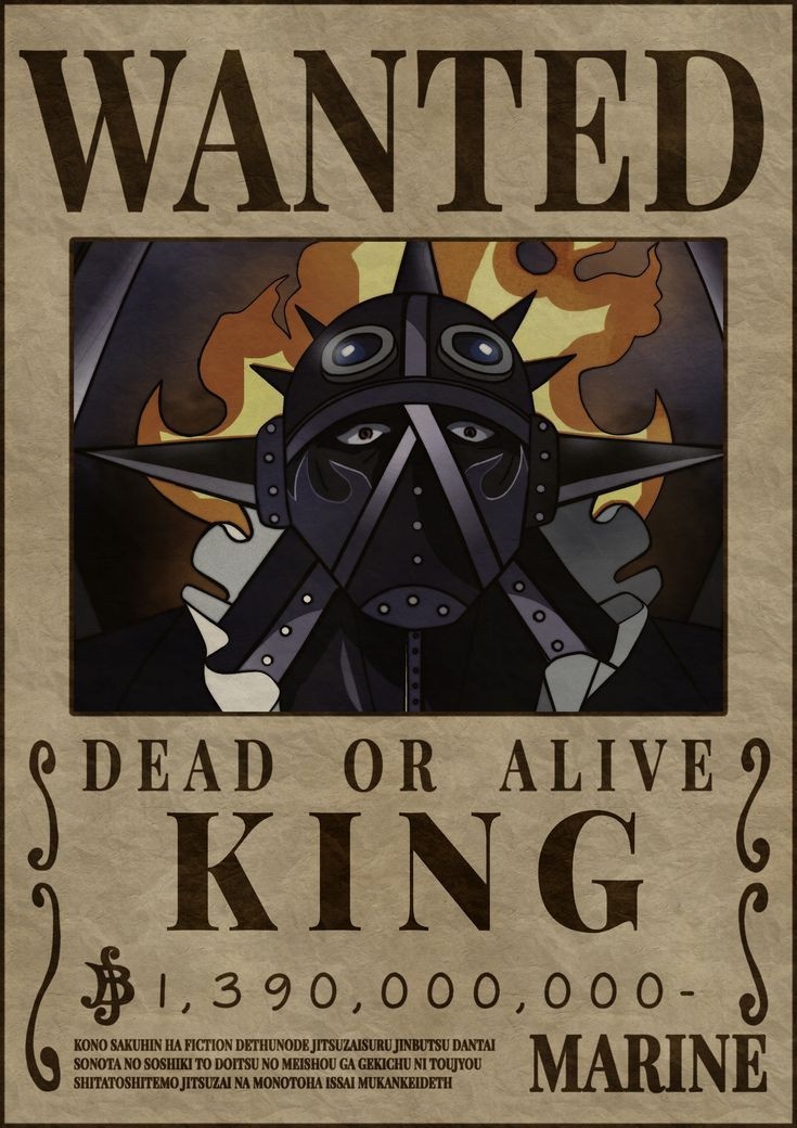 Hai tac bi truy na trong One Piece anh 4