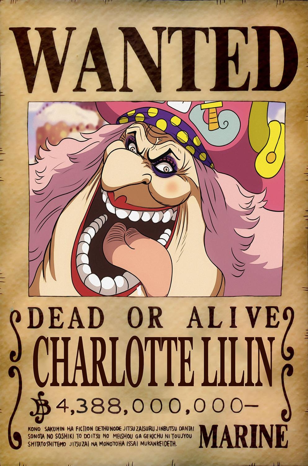 Hai tac bi truy na trong One Piece anh 8