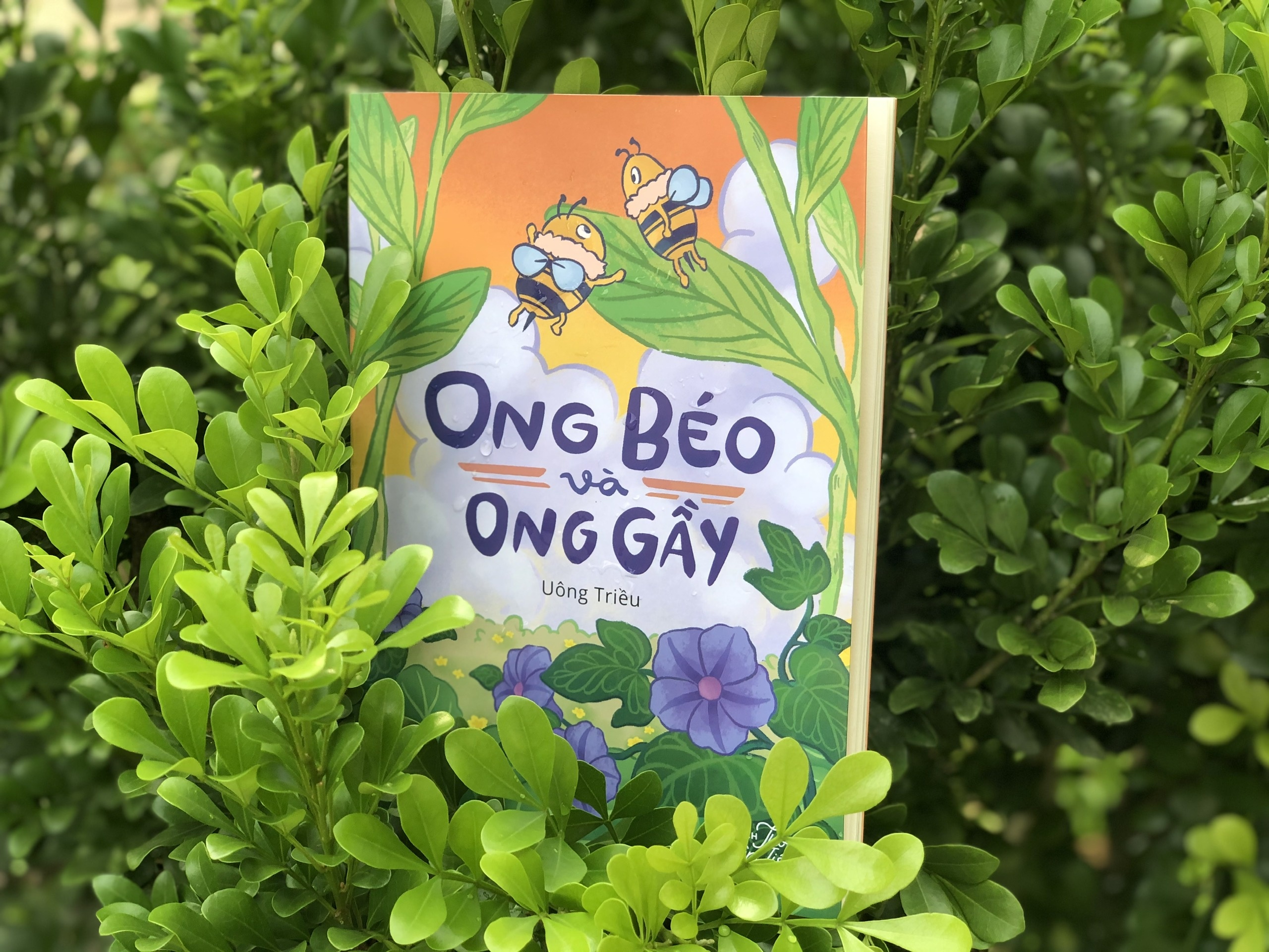 Ong Beo va Ong Gay anh 1