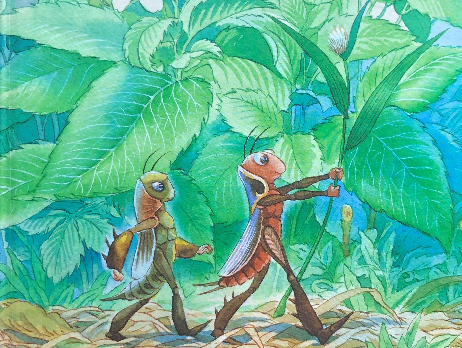 Ong Beo va Ong Gay anh 2