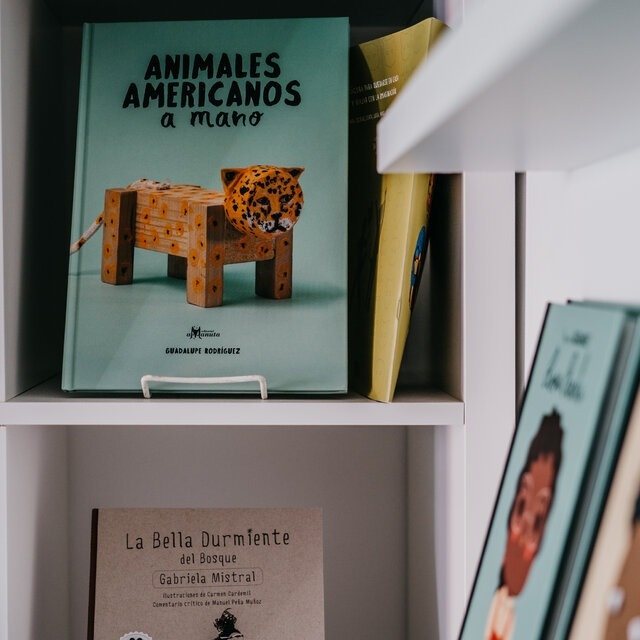 Hieu sach tai My anh 5