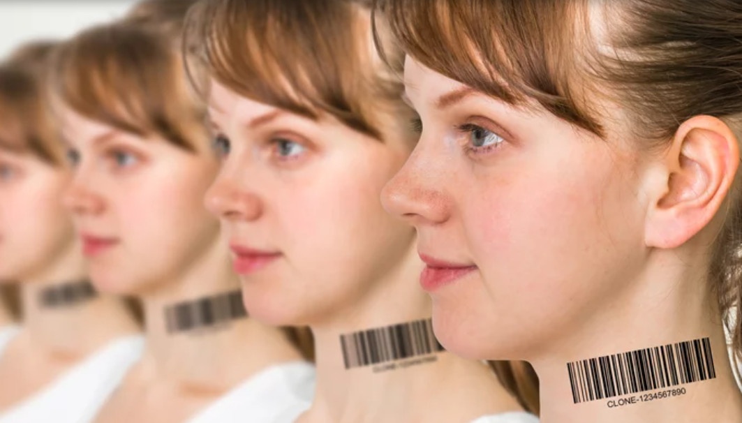 Con nguoi co the phan than hay khong? hinh anh