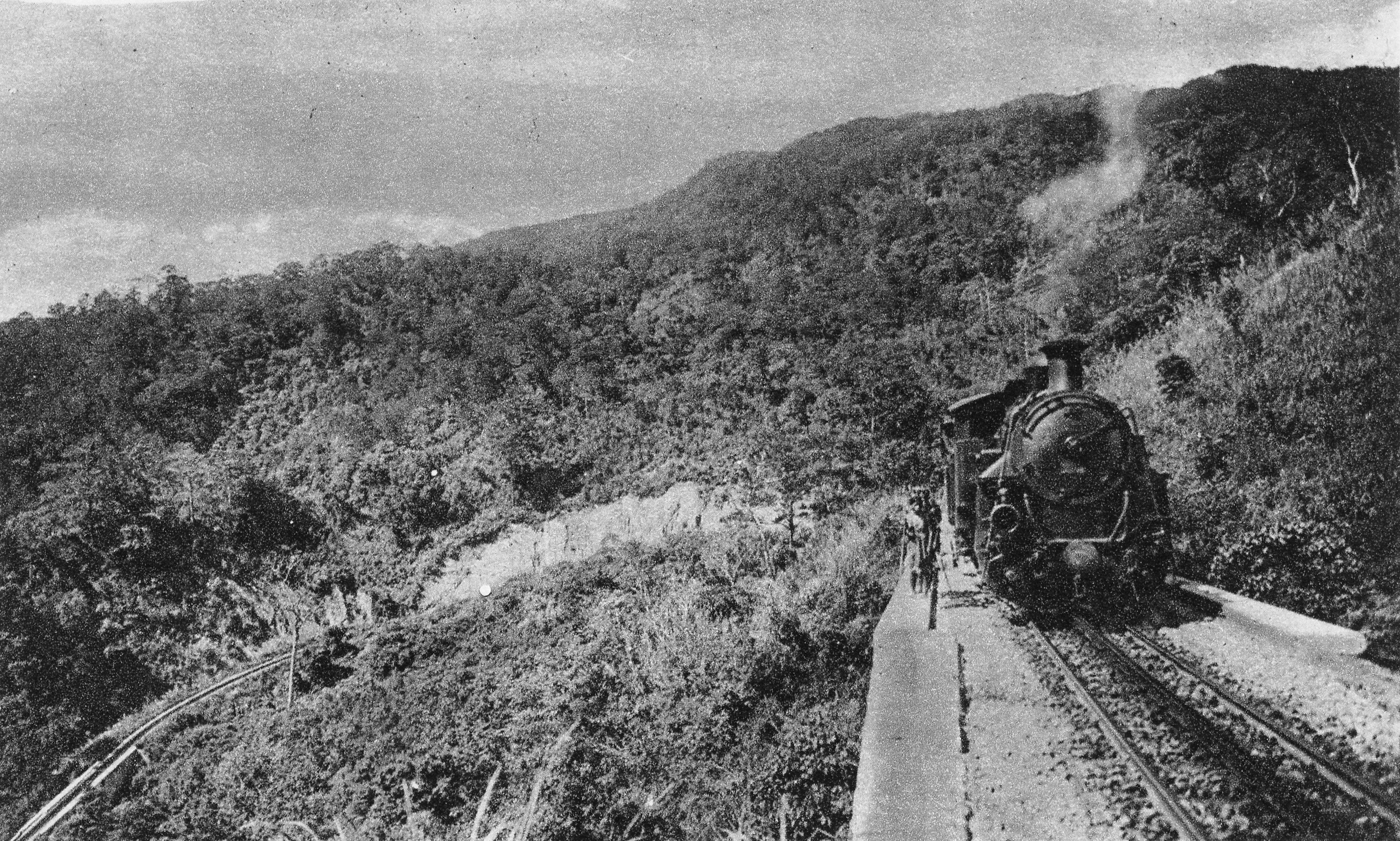 Duong sat rang cua anh 3