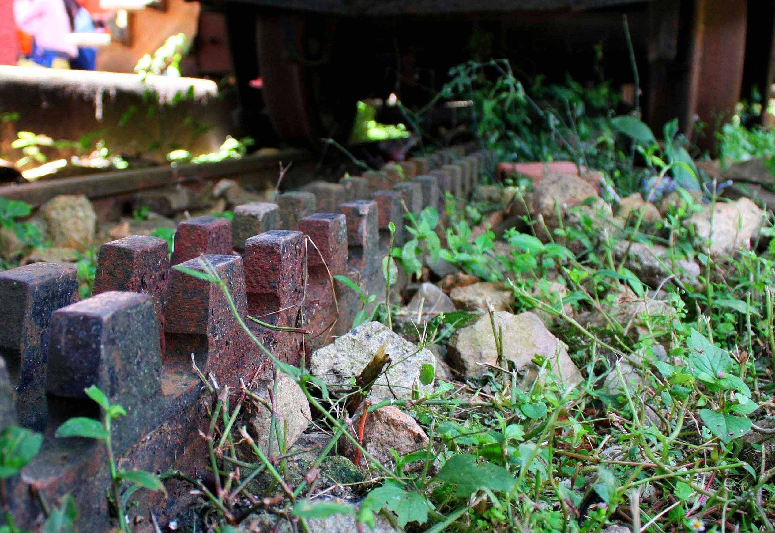 Duong sat rang cua anh 1