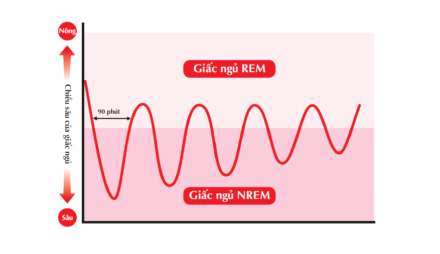 Nhung ngo nhan vi suc khoe anh 2