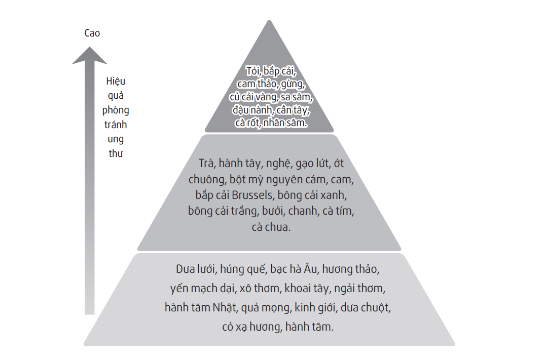 Thuc pham tot cho suc khoe anh 2