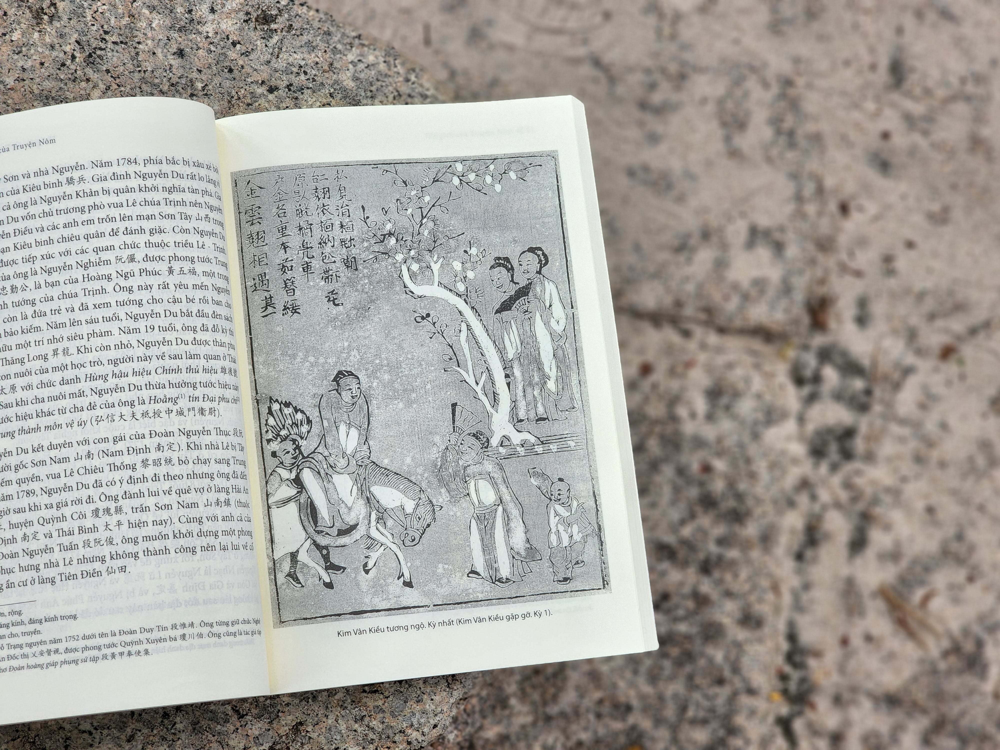 Truyen Nom Viet Nam anh 2