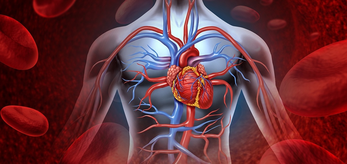 Nang luc sua chua phuc hoi cua co the hinh anh