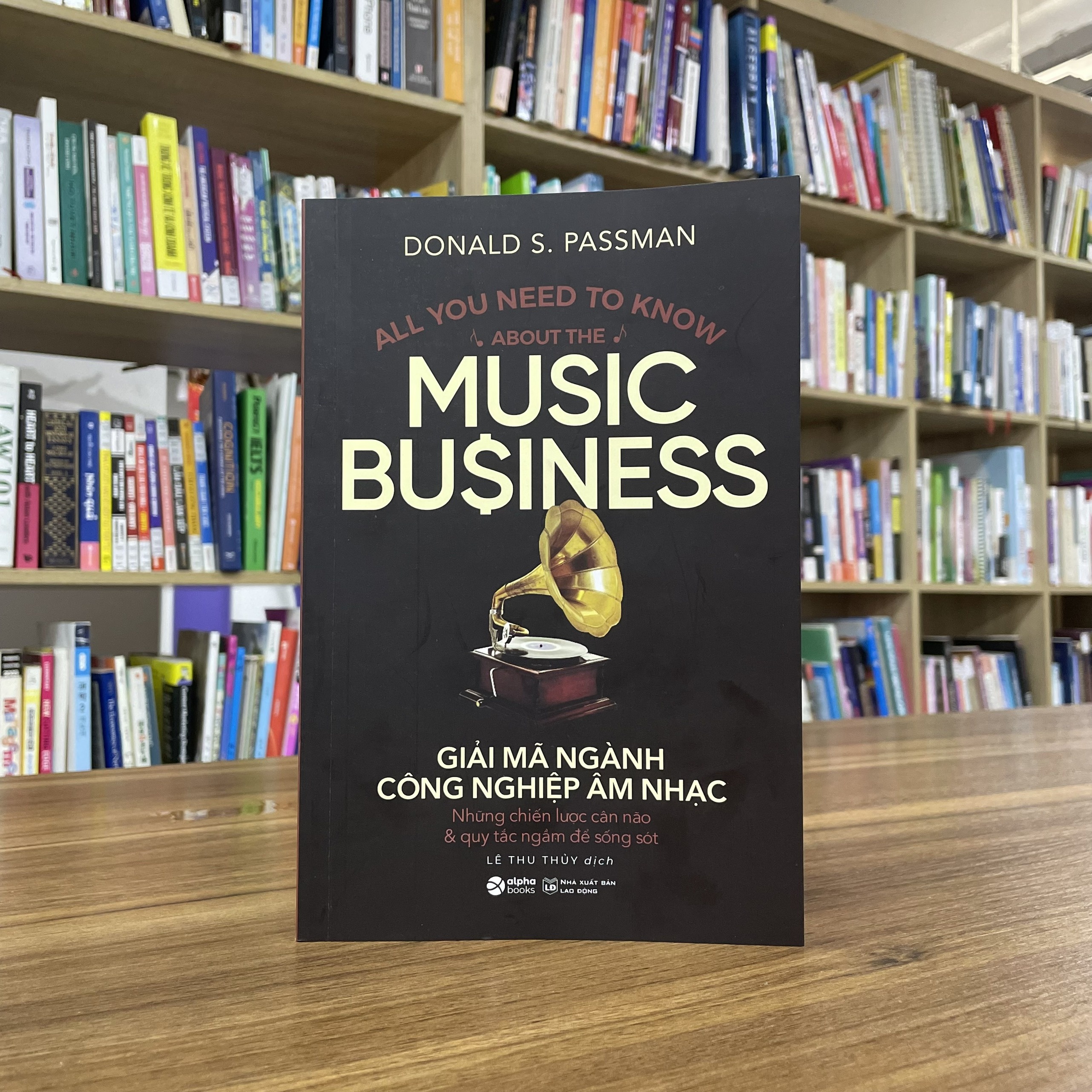 Am nhac Viet Nam anh 2