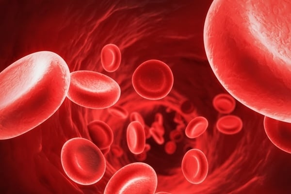 Trieu chung benh tat va xu the tang giam khi huyet co the hinh anh