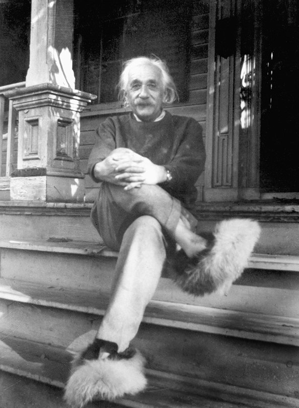 Albert Einstein anh 11