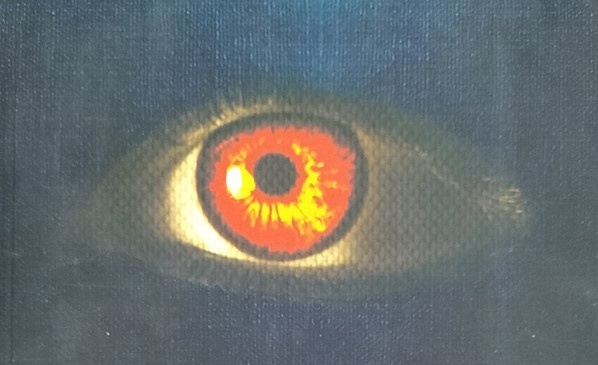 Nhung so phan dan cai hinh anh