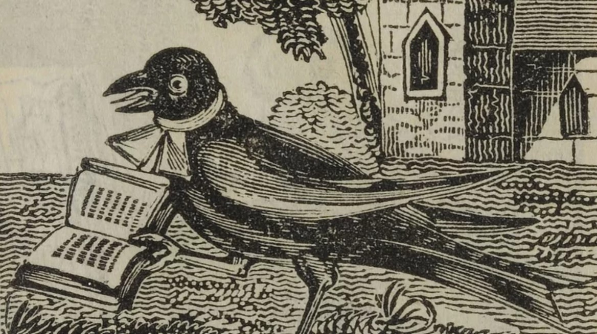 Nha suu tap sach nguoi Anh anh 2