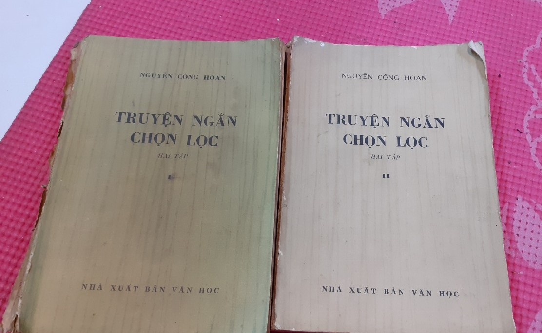 Luu but nha van anh 1