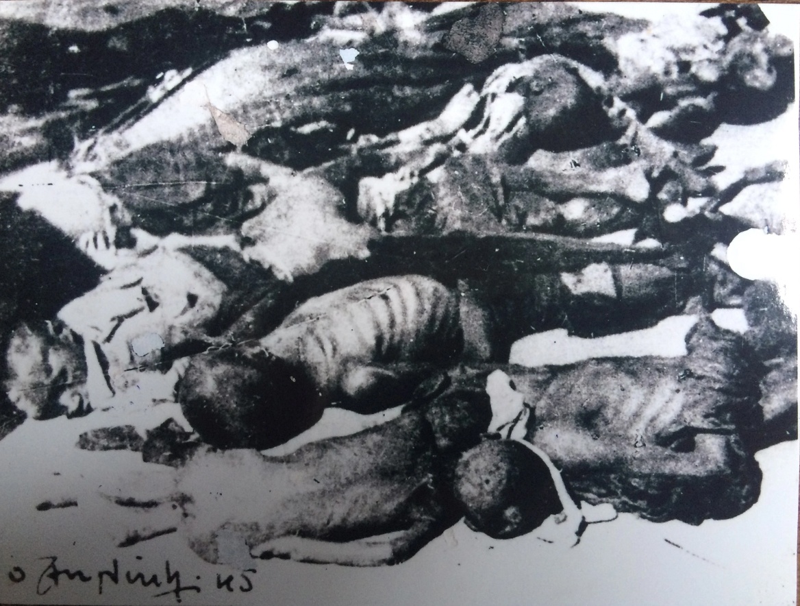 Noi dau cua nan doi nam 1945 hinh anh