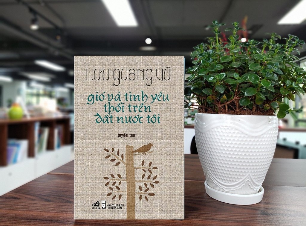 Gio va tinh yeu thoi tren dat nuoc toi hinh anh