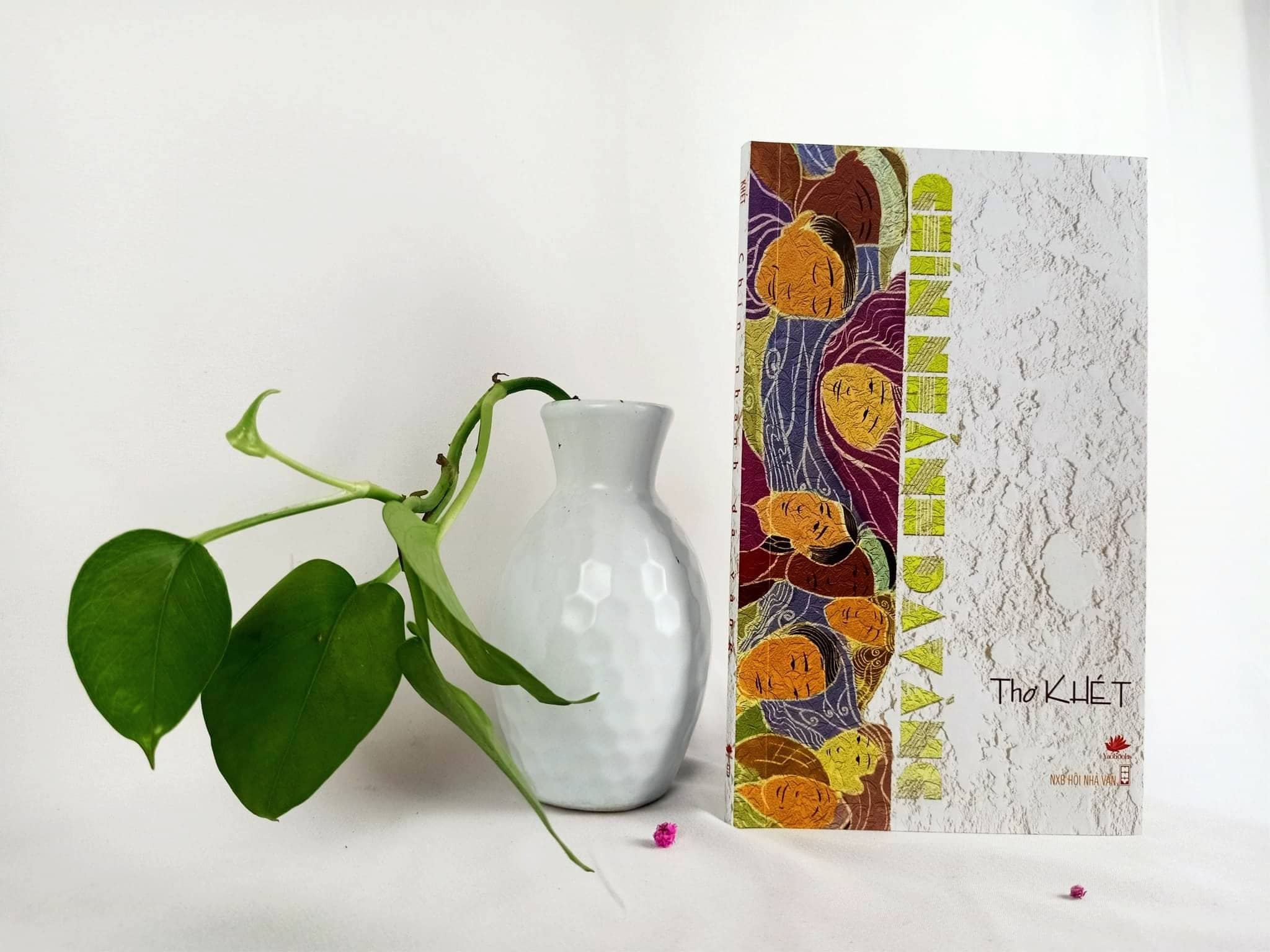 Chin nhanh da vang anh 1