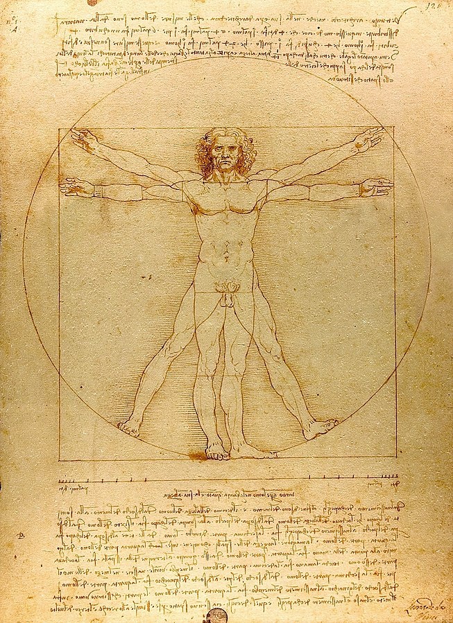 Leonardo da Vinci anh 1
