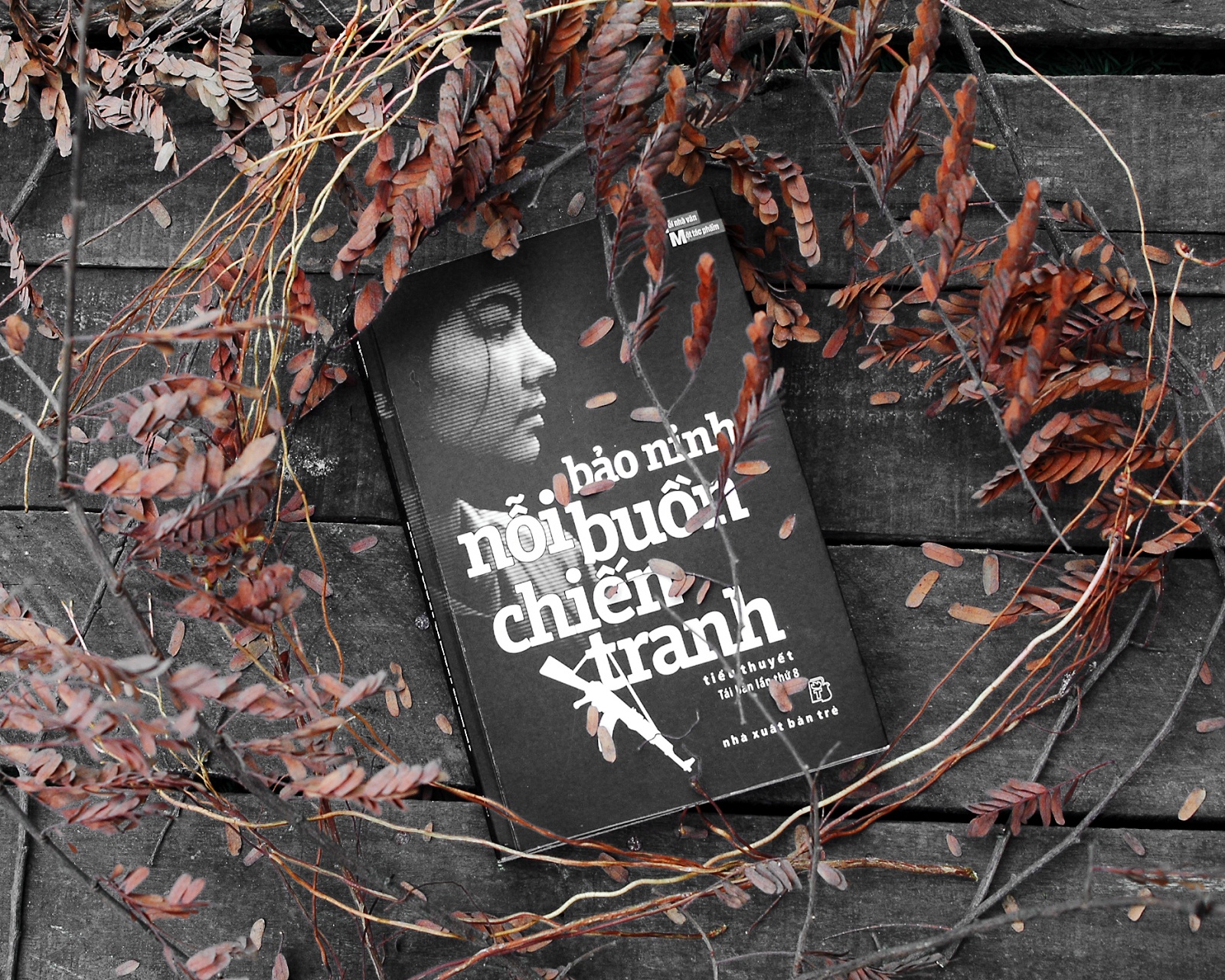 Goc nhin dac biet ve chien tranh cua nha van Bao Ninh hinh anh