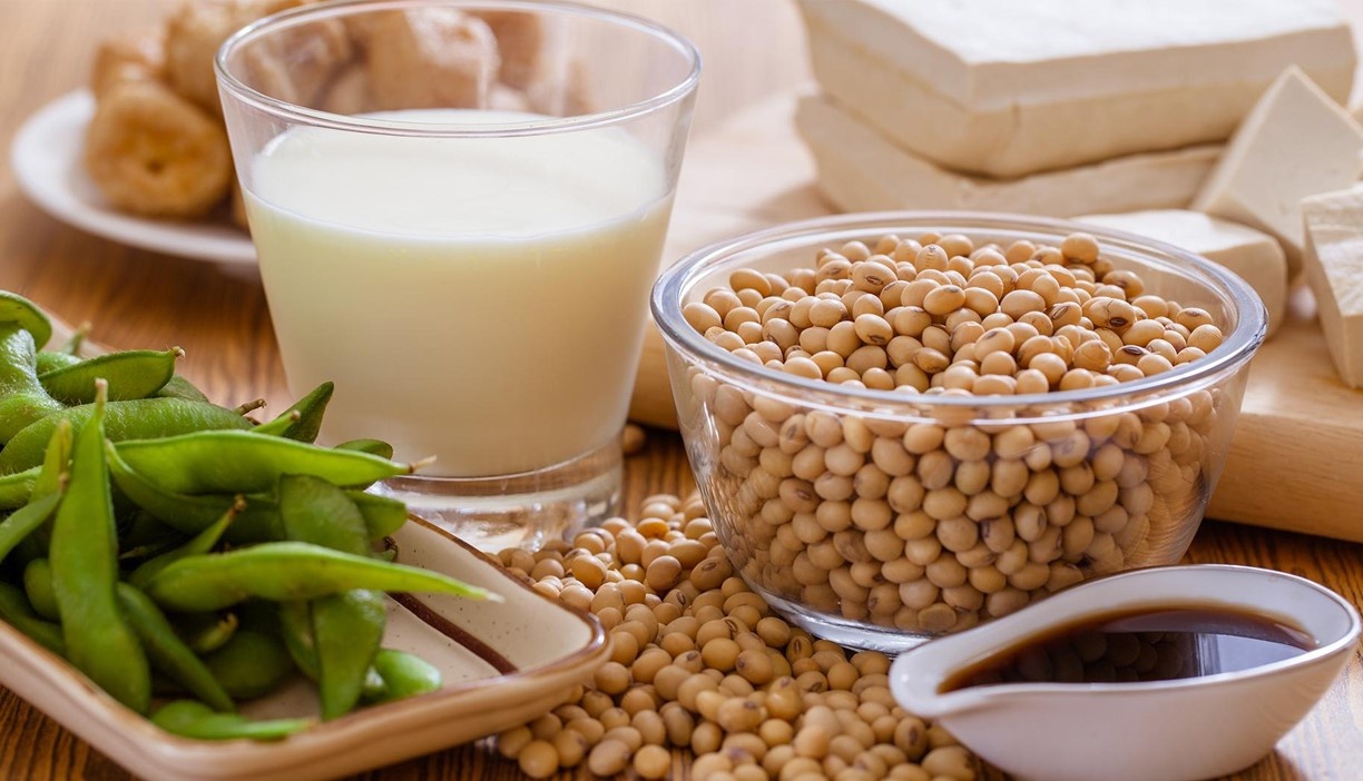 Kha nang phong chong ung thu cua dau nanh hinh anh