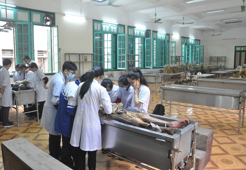 Giai phau nguoi qua cau chuyen cua mot cuu sinh vien Dai hoc Y Ha Noi hinh anh