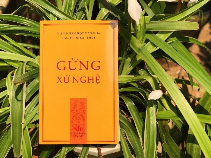 Kien giai khoa hoc ve nhan si xu Nghe hinh anh