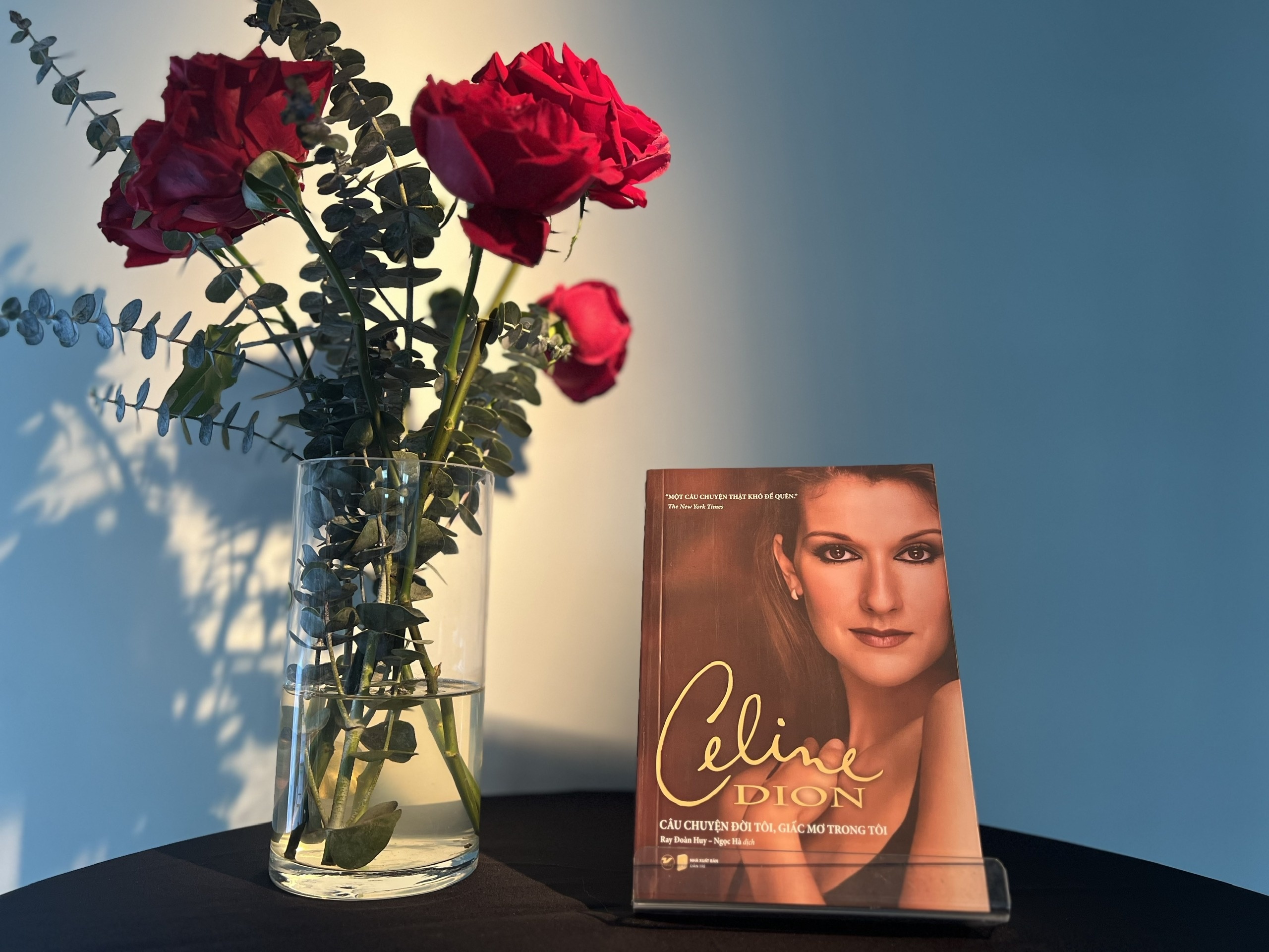 'Celine Dion - Cau chuyen doi toi, giac mo trong toi' hinh anh