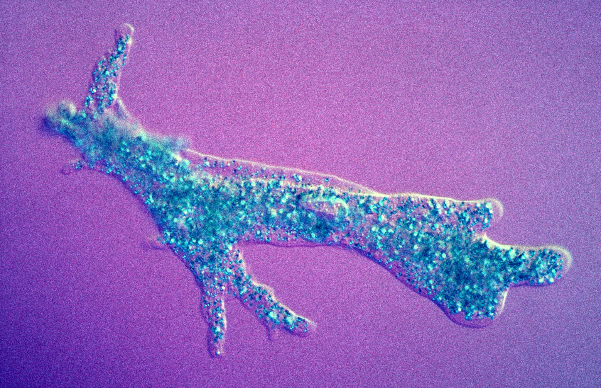 Su song tren Trai Dat anh 3