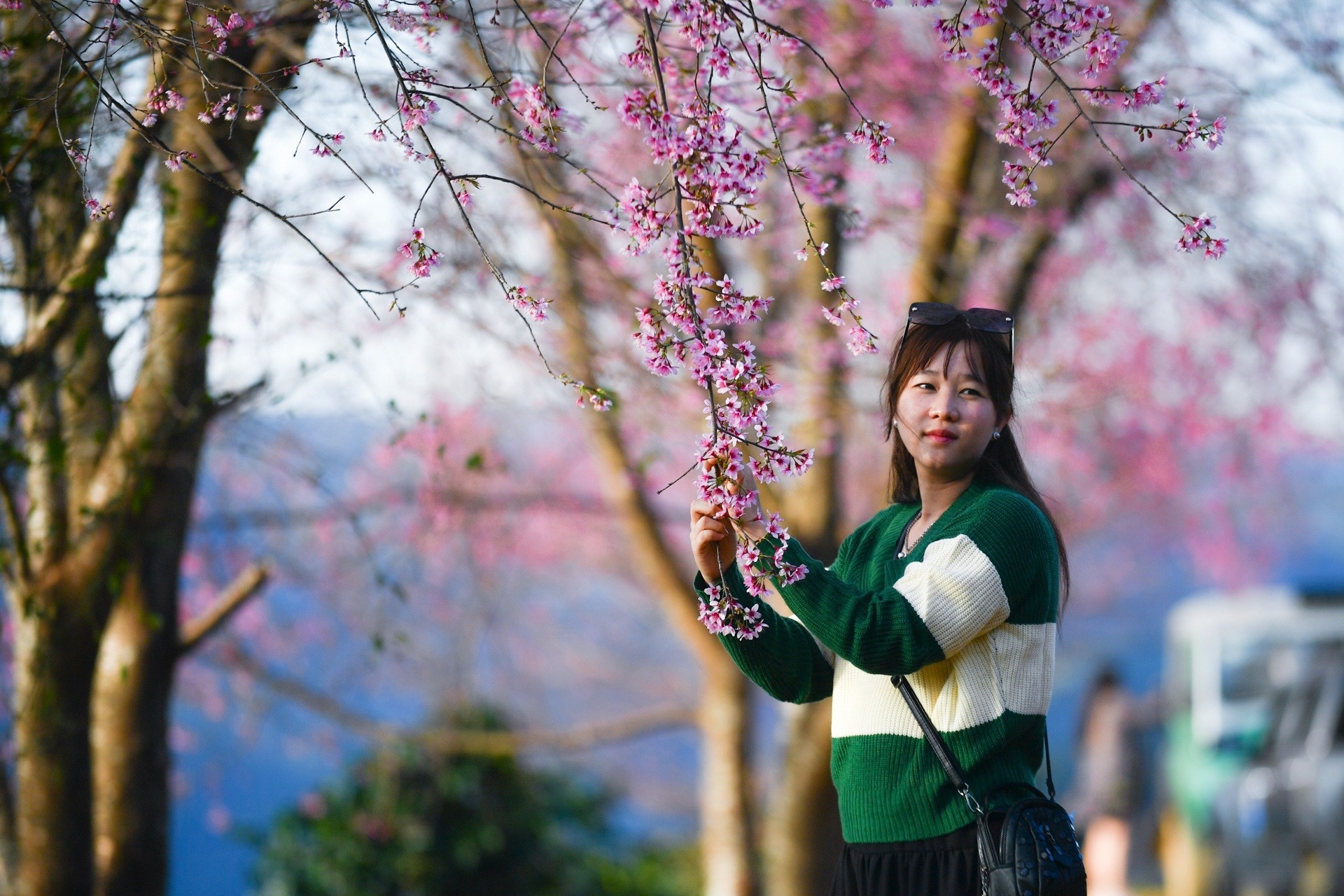 Len xu thong reo, nghe hoa xuan hat hinh anh