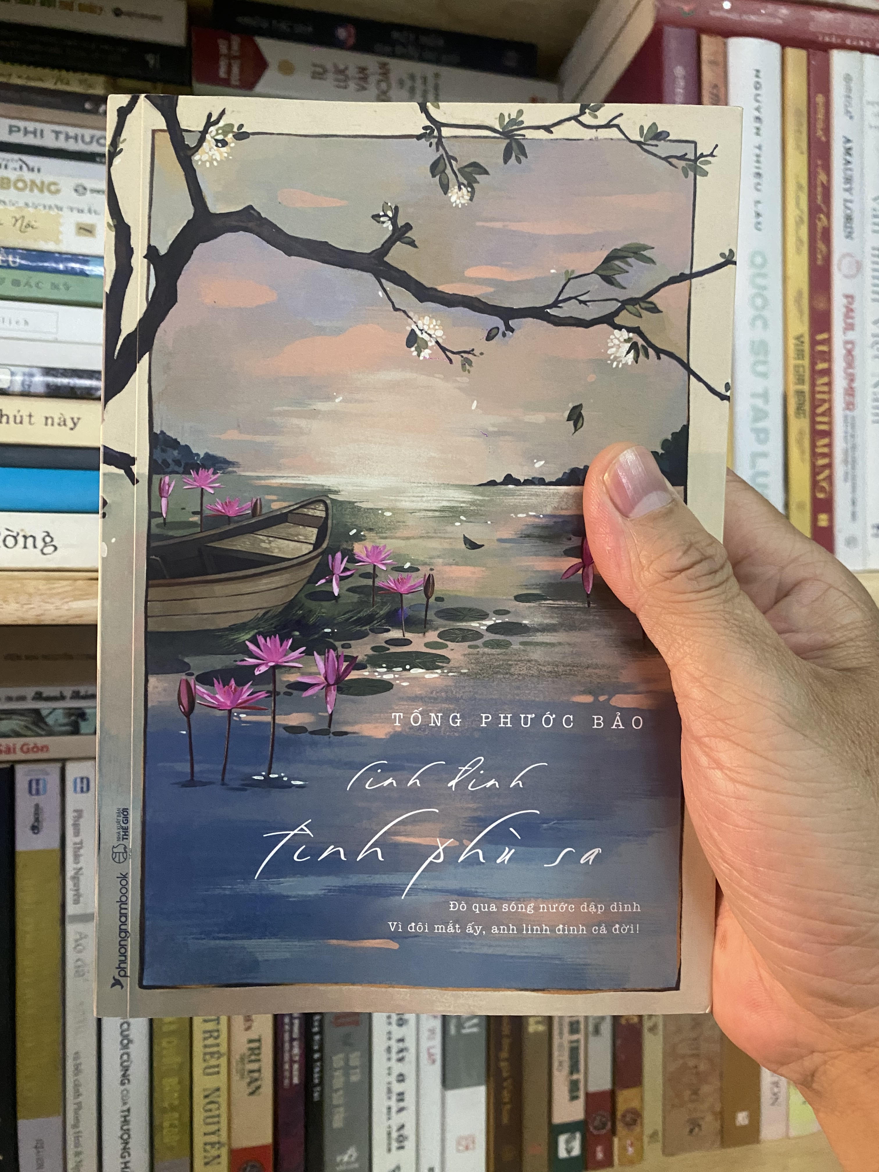 Linh dinh tinh phu sa anh 1