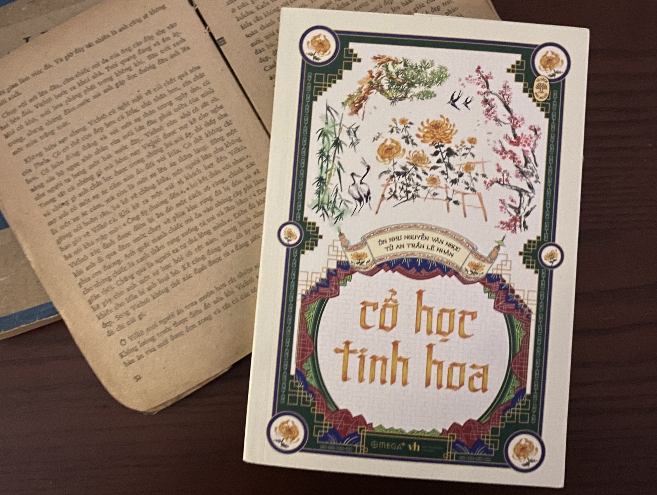 Ngam chuyen nguoi xua tu 'Co hoc tinh hoa' hinh anh