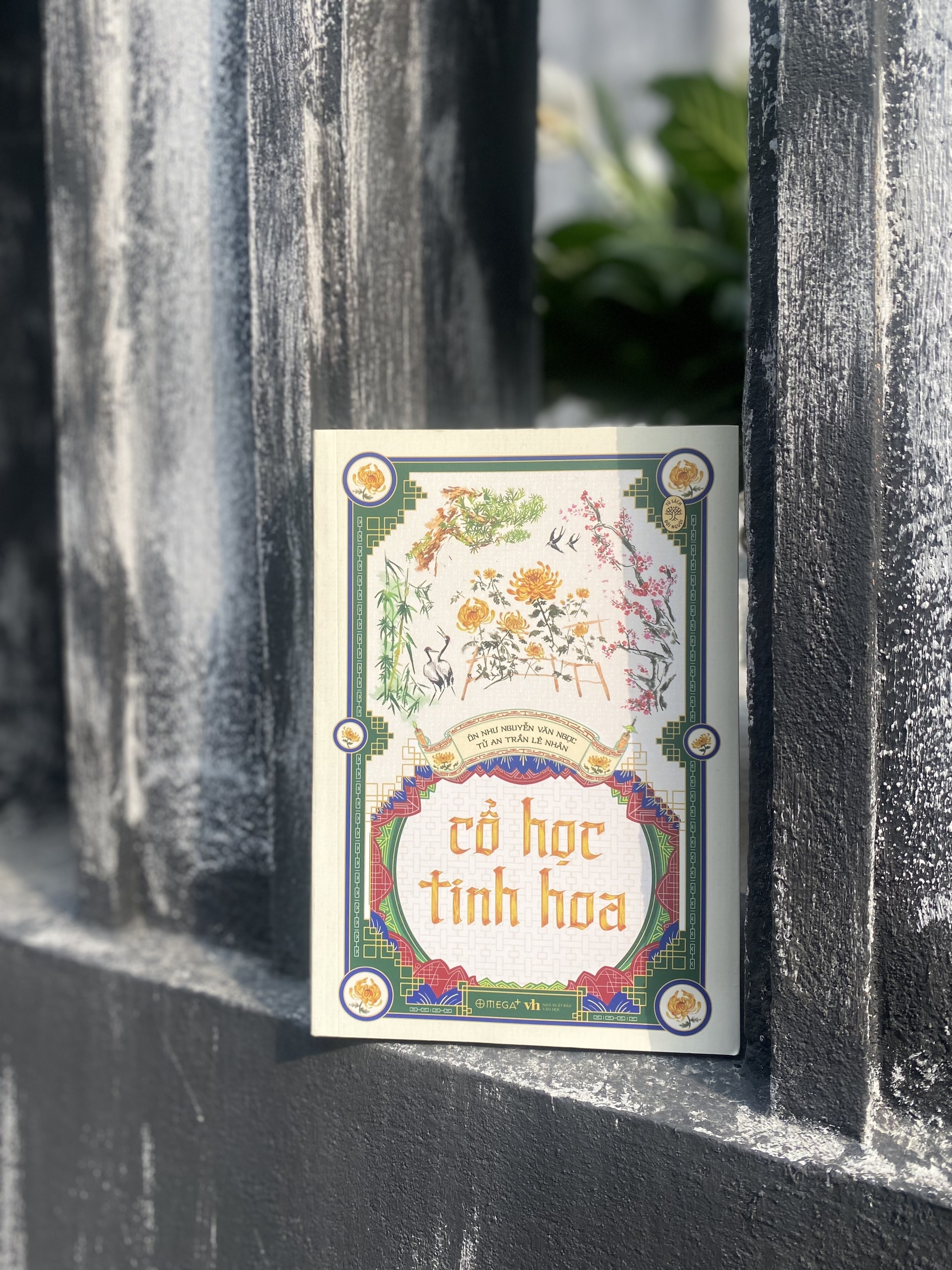 Co hoc tinh hoa anh 1