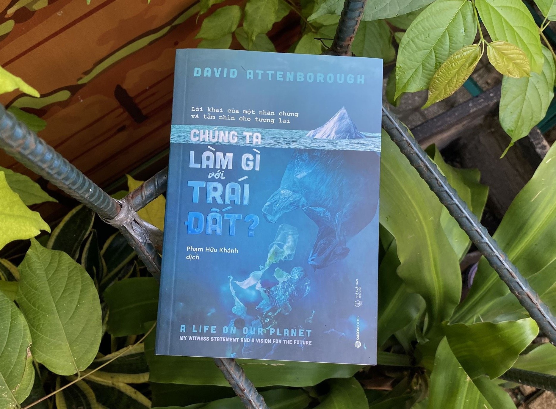 'Chung ta lam gi voi Trai Dat?' hinh anh