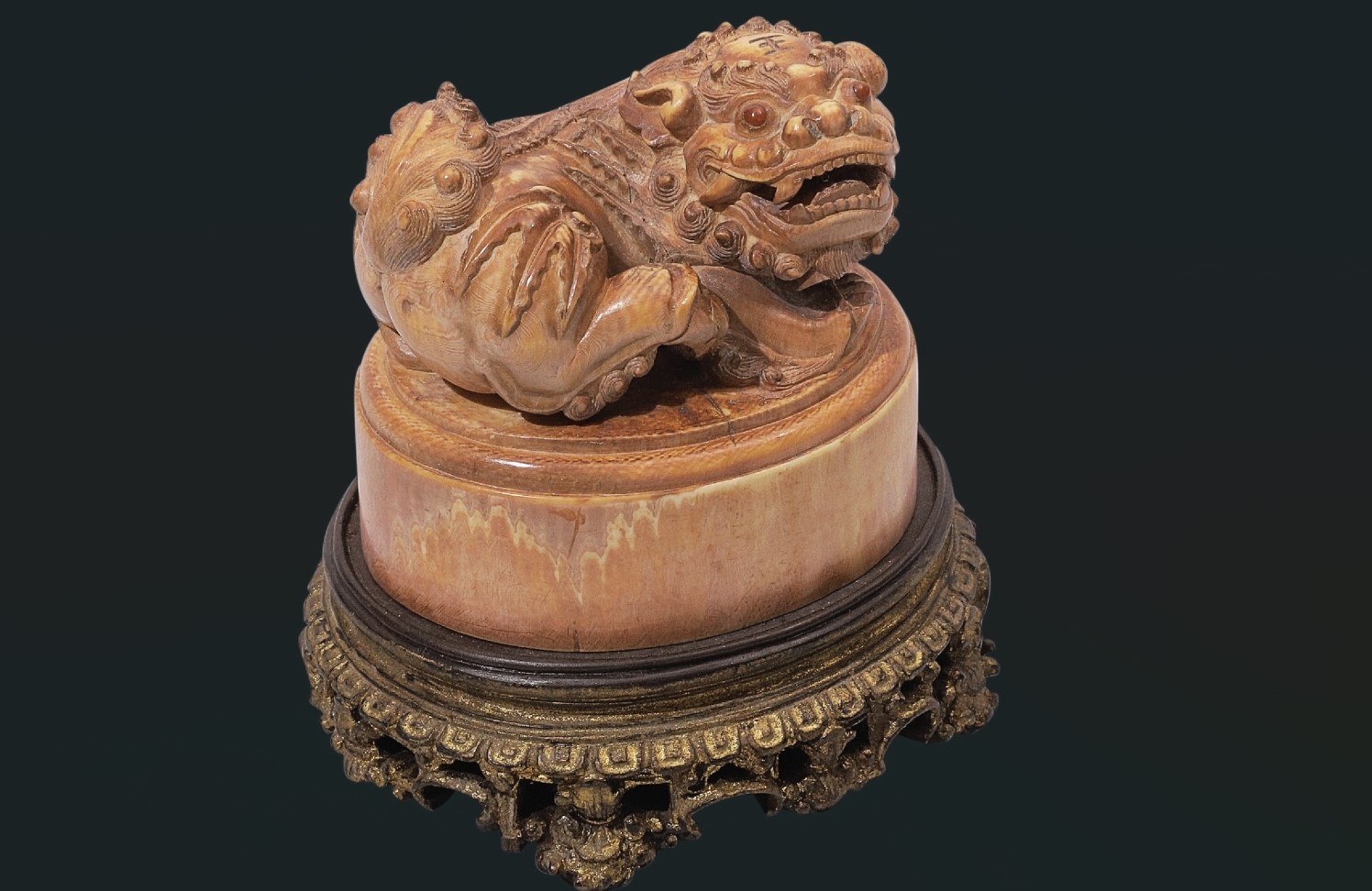 Can canh nhung co vat vang son mot thuo hinh anh