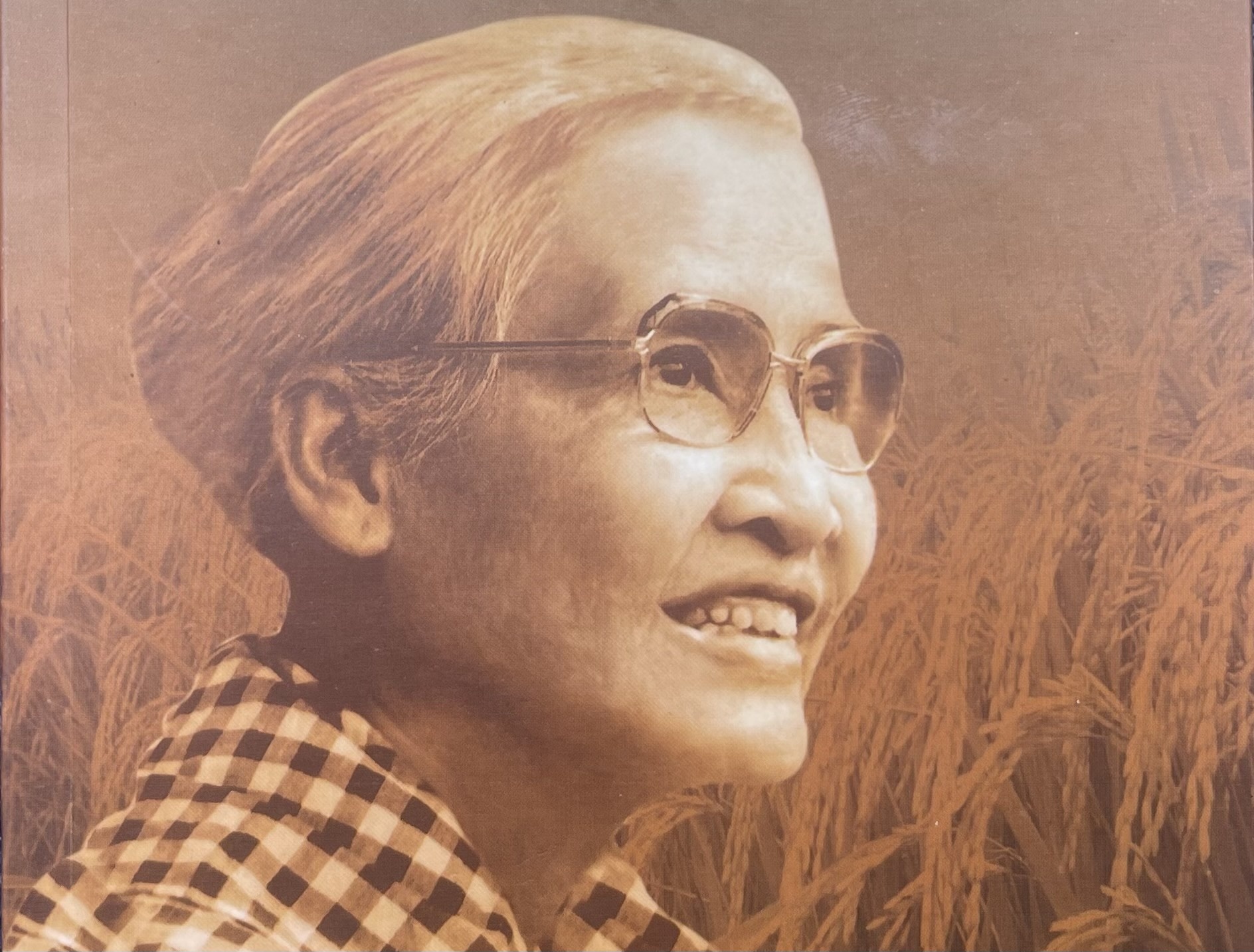 Nguoi phu nu ‘pha rao’ gom gao cho TP.HCM trong nhung ngay thieu an hinh anh