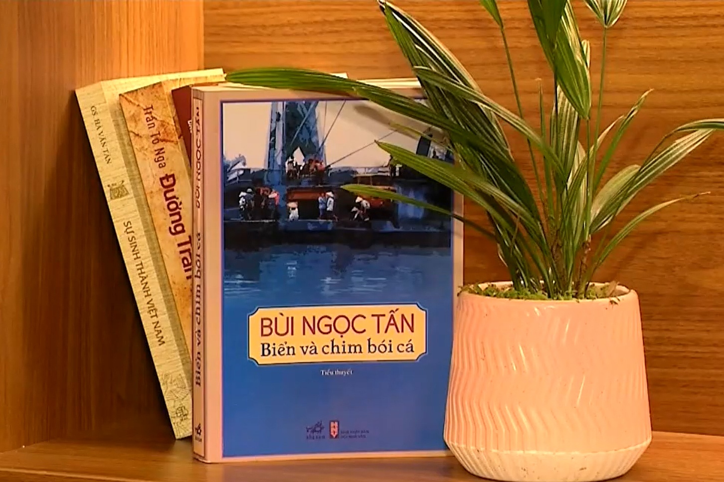 Bien va chim boi ca hinh anh